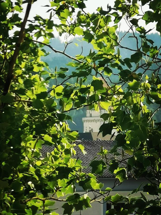 Zentrumsnahe Privatunterkunft Freistadt Exterior foto